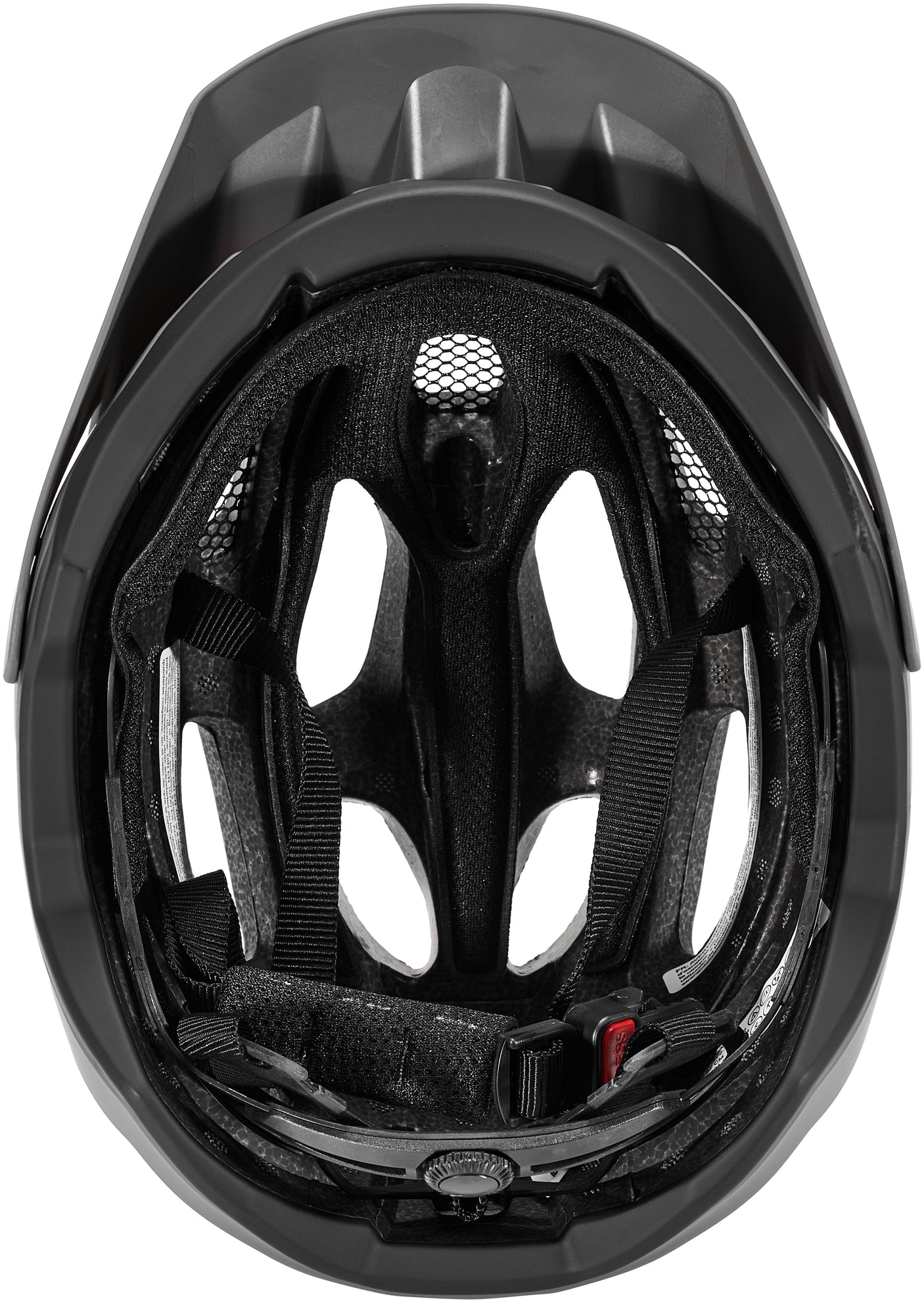 Alpina Carapax 2.0 Helm grau