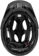 Alpina Carapax 2.0 Helm grau