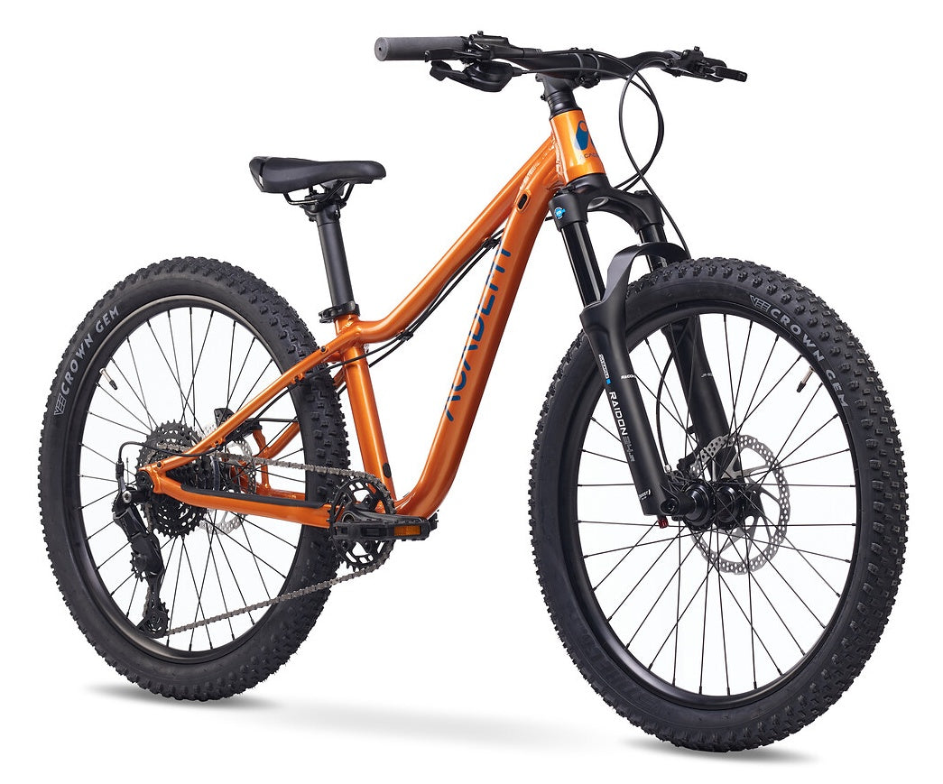 ACADEMY Trail 5 24" Amber (2026)